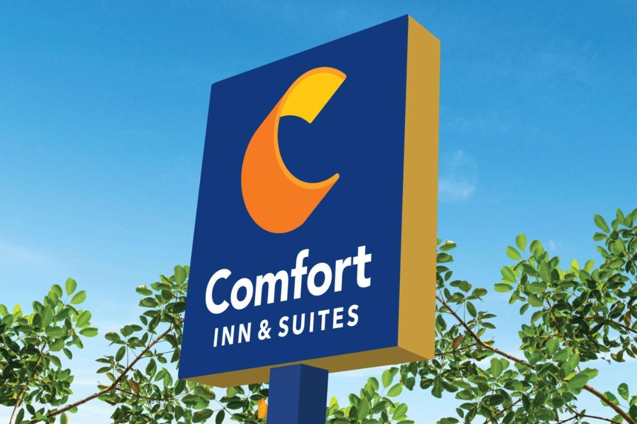 Comfort Inn & Suites Munising-Lakefront Kültér fotó